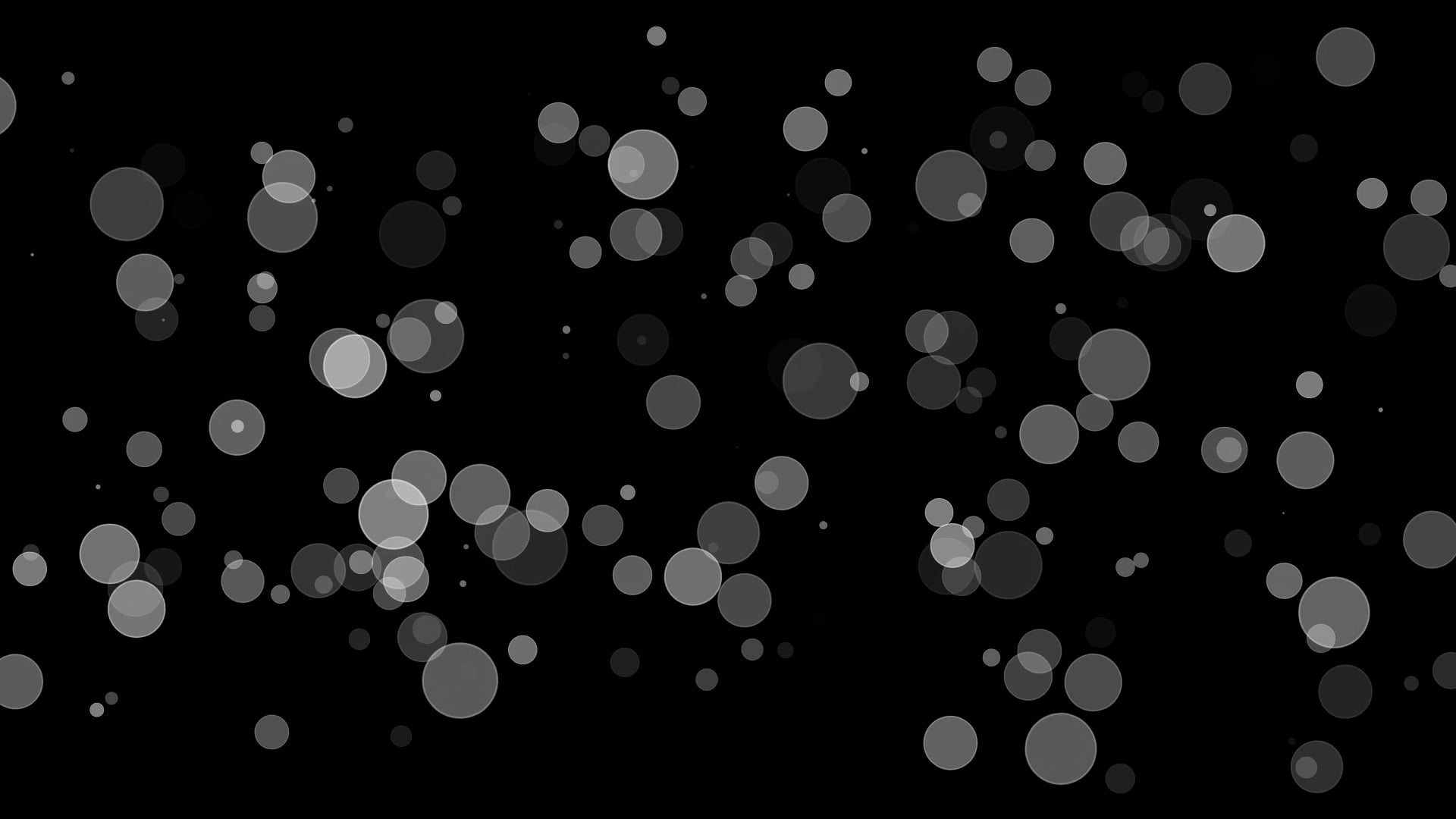 particle playground after effects download