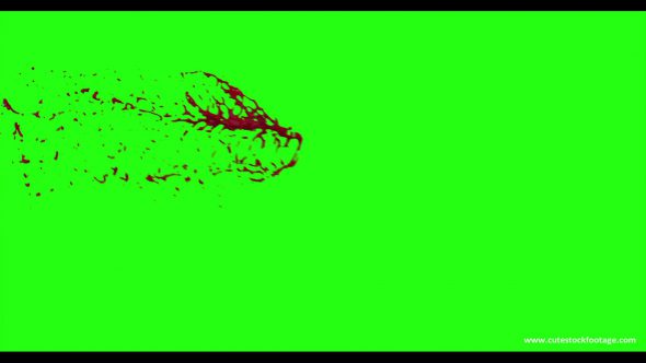 Hd Blood Burst Motion Blur Green Screen 8