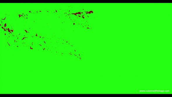 Hd Blood Burst Motion Blur Green Screen 6