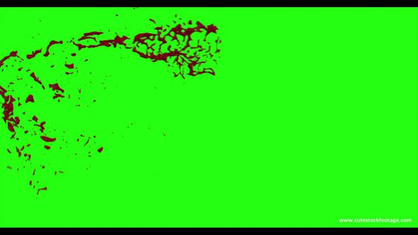 Hd Blood Burst Motion Blur Green Screen 2