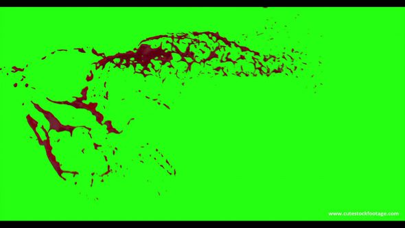 Hd Blood Burst Motion Blur Green Screen 3