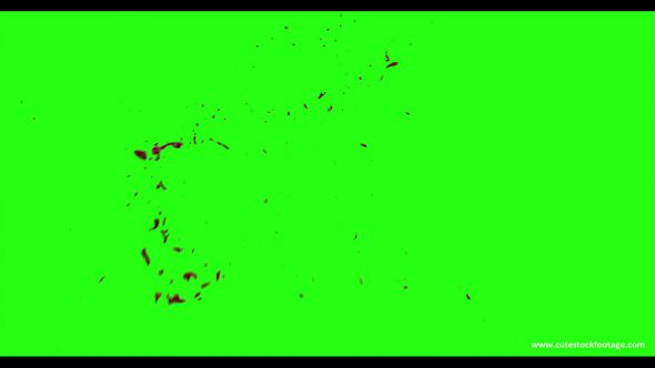 Hd Blood Burst Motion Blur Green Screen 109
