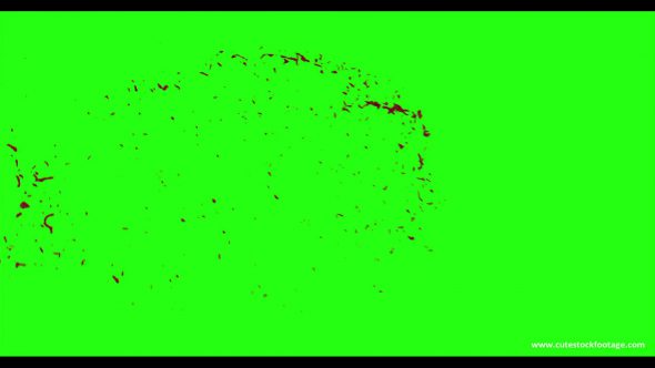 Hd Blood Burst Motion Blur Green Screen 11