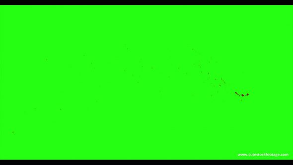 Hd Blood Burst Motion Blur Green Screen 12