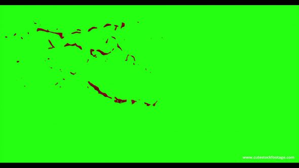Hd Blood Burst Motion Blur Green Screen 23