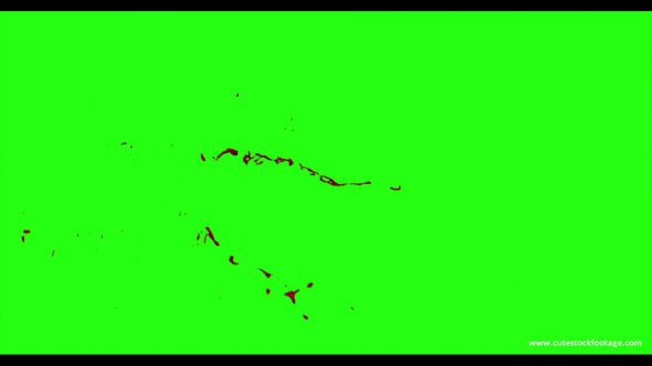 Hd Blood Burst Motion Blur Green Screen 25