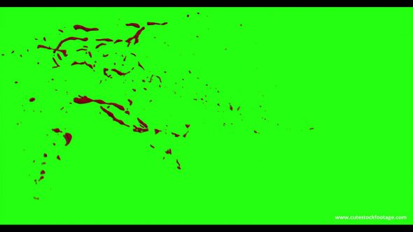 Hd Blood Burst Motion Blur Green Screen 29