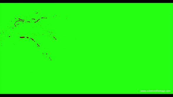 Hd Blood Burst Motion Blur Green Screen 27
