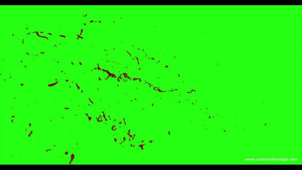 Hd Blood Burst Motion Blur Green Screen 34