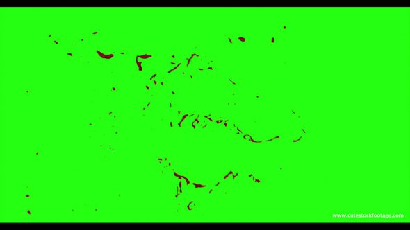 Hd Blood Burst Motion Blur Green Screen 30