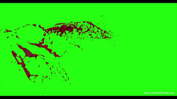 Hd Blood Burst Motion Blur Green Screen 53