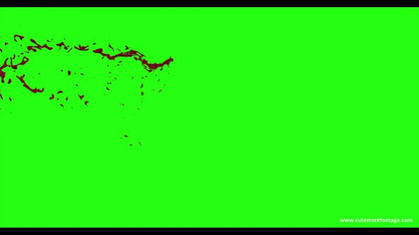 Hd Blood Burst Motion Blur Green Screen 55