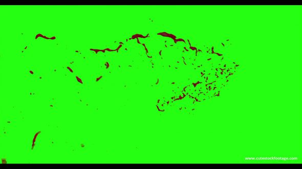 Hd Blood Burst Motion Blur Green Screen 52