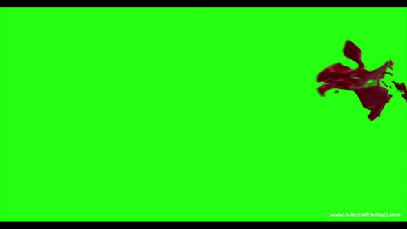 Hd Blood Burst Motion Blur Green Screen 65