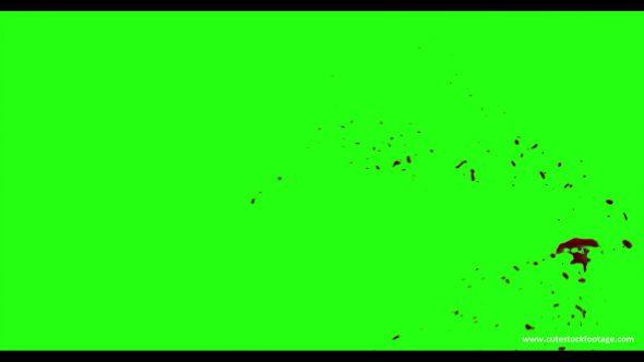 Hd Blood Burst Motion Blur Green Screen 68