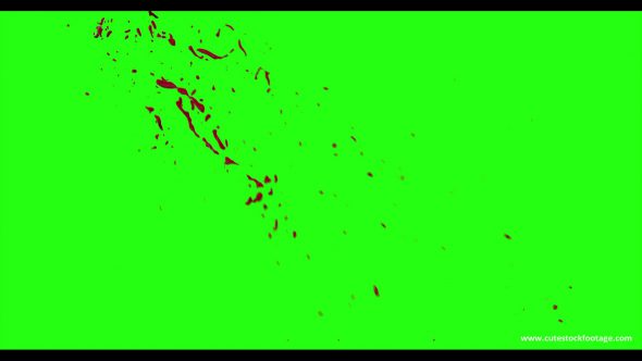 Hd Blood Burst Motion Blur Green Screen 79