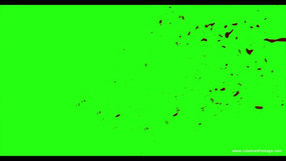 Hd Blood Burst Motion Blur Green Screen 89