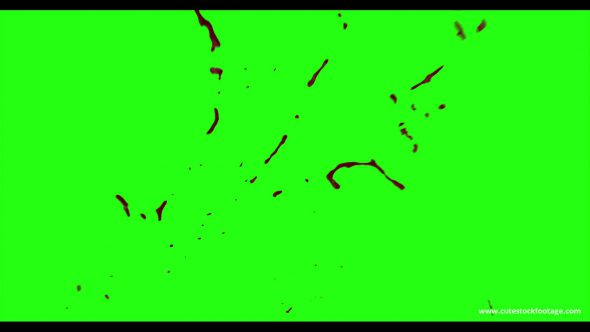 Hd Blood Burst Motion Blur Green Screen 91