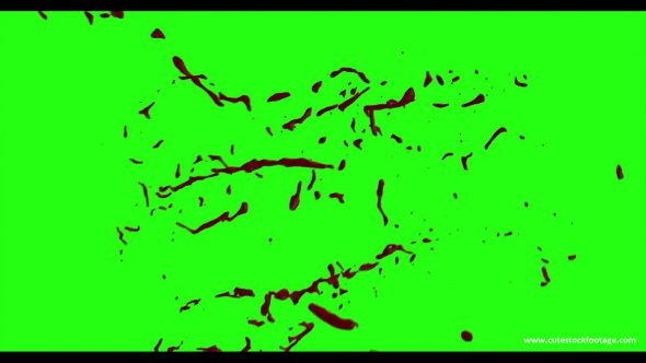 Hd Blood Burst Motion Blur Green Screen 93