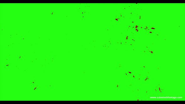 Hd Blood Burst Motion Blur Green Screen 107