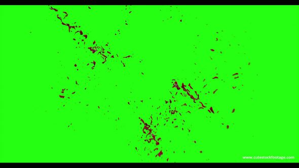 Hd Blood Burst Motion Blur Green Screen 111