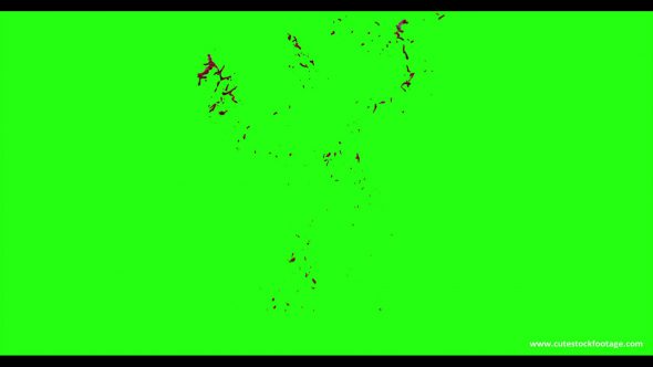 Hd Blood Burst Motion Blur Green Screen 116