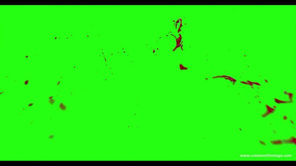 Hd Blood Burst Motion Blur Green Screen 120