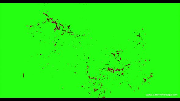 Hd Blood Burst Motion Blur Green Screen 112
