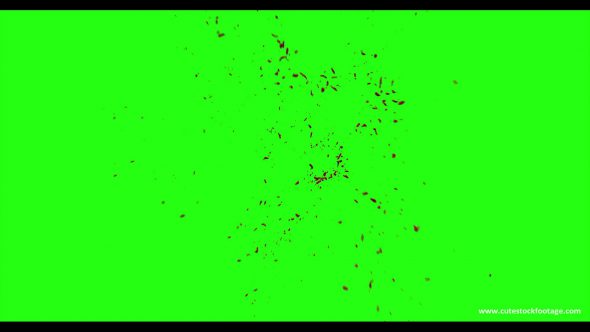Hd Blood Burst Motion Blur Green Screen 127