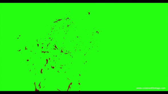 Hd Blood Burst Motion Blur Green Screen 119