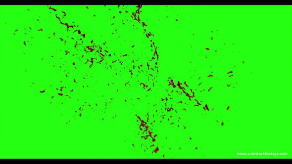 Hd Blood Burst Motion Blur Green Screen 131