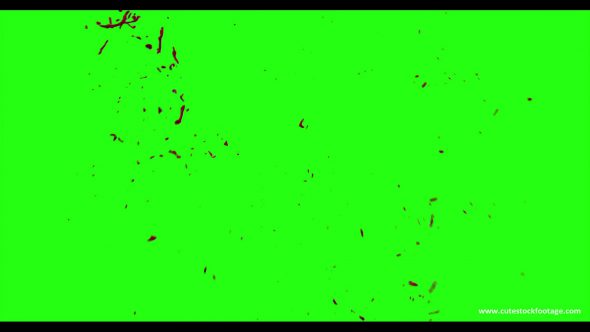 Hd Blood Burst Motion Blur Green Screen 115
