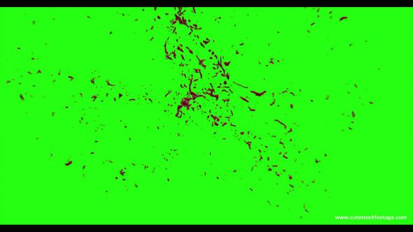 Hd Blood Burst Motion Blur Green Screen 130