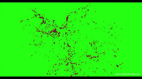 Hd Blood Burst Motion Blur Green Screen 132