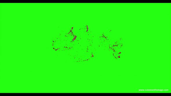 Hd Blood Burst Motion Blur Green Screen 134
