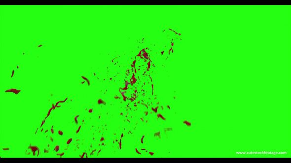 Hd Blood Burst Motion Blur Green Screen 137