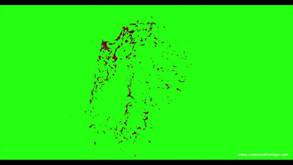 Hd Blood Burst Motion Blur Green Screen 110