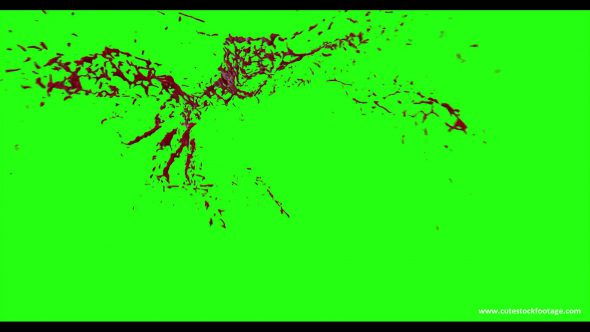 Hd Blood Burst Motion Blur Green Screen 145