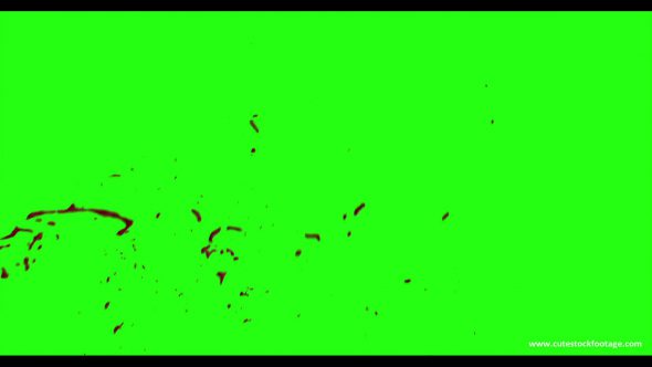 Hd Blood Burst Motion Blur Green Screen 164