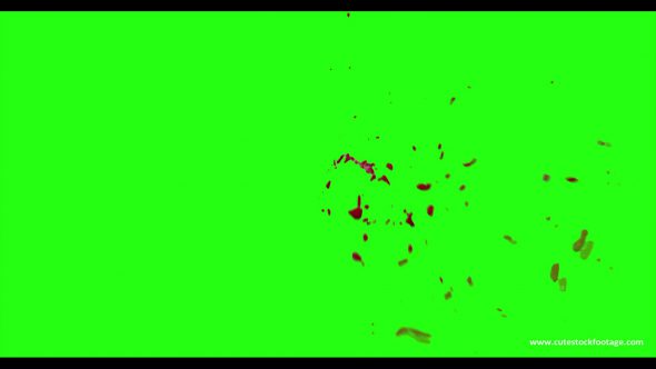 Hd Blood Burst Motion Blur Green Screen 184