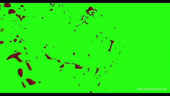 Hd Blood Burst Motion Blur Green Screen 194