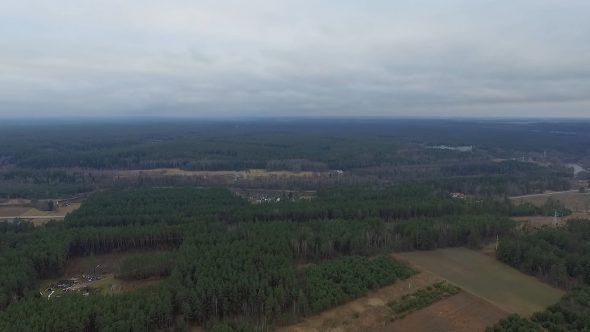 Aerial View Over The Forest 2