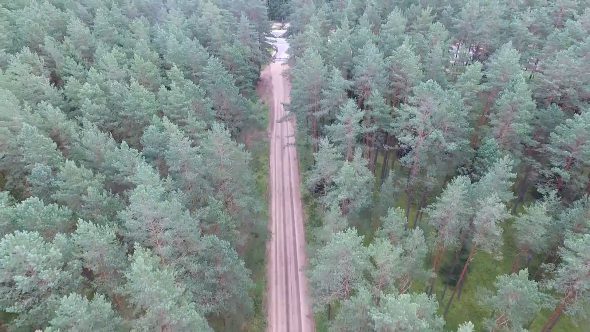 Flight Over The Forest Near Gravel Road And Highway