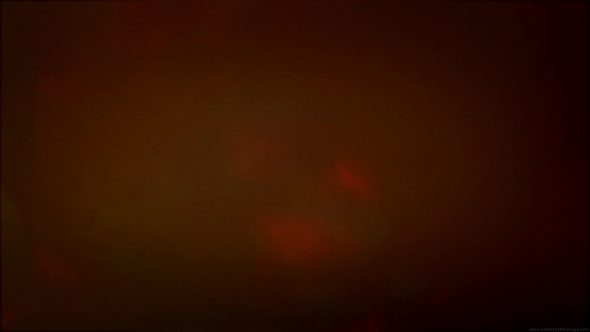 Light Leaks Element 266