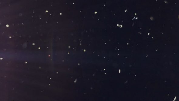 Various Granularity Of Dust Particles Flying On Black Background