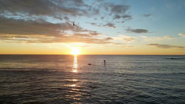 Surfer Sunset Ocean