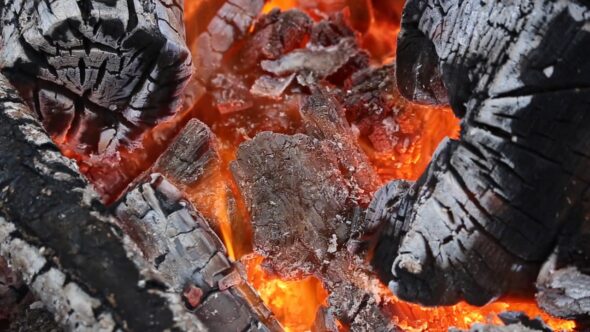 Burning Fire Wood