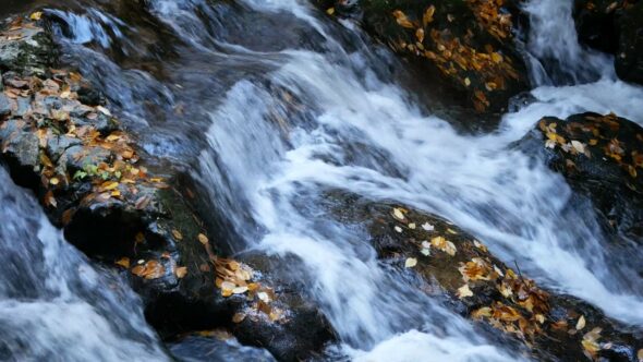 Flow Stream Nature